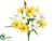 Lily Bush - Yellow Cream - Pack of 12