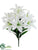 Lily Bush - White - Pack of 12