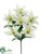 Tiger Lily Bush - Cream - Pack of 24
