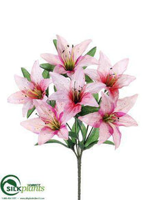 Tiger Lily Bush - Pink - Pack of 24