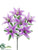 Tiger Lily Bush - Purple - Pack of 24