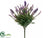 Lavender Bush - Purple - Pack of 12