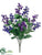 Lilac Bush - Purple Helio - Pack of 12