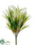 Lily of The Valley Bush - White - Pack of 12