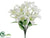 Large Lily Bush - Cream - Pack of 12