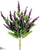 Lavender Bush - Orchid - Pack of 12