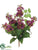 Lilac Bush - Purple - Pack of 12