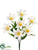 Easter Lily Bush - White - Pack of 12