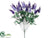 Lavender Bush - Purple Lavender - Pack of 12