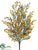 Wild Mimosa Bush - Yellow - Pack of 12
