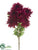 Ball Mum Bush - Burgundy - Pack of 12