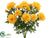Marigold Bush - Yellow - Pack of 6