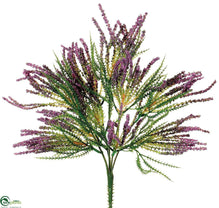 Bud Berry Bush - Lavender - Pack of 12