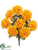 Pompon Mum Bush - Yellow - Pack of 12