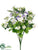 Sweet William, Butterfly Bush - Cream White - Pack of 24