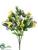 Sweet William, Butterfly Bush - Yellow Lavender - Pack of 24