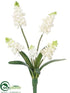 Silk Plants Direct Muscari Bush - White - Pack of 24