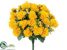 Mum Bush - Yellow - Pack of 12