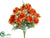 Marigold Bush - Orange - Pack of 6