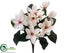 Silk Plants Direct Magnolia Bush - Blush - Pack of 12
