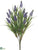 Muscari Bush - Lavender - Pack of 12