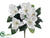 Magnolia Bush - White - Pack of 12