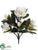 Magnolia Bush - Cream - Pack of 6