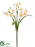 Silk Plants Direct Narcissus Bush - White Orange - Pack of 12