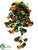 Nasturtium Hanging Bush - Orange - Pack of 12