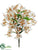 Oncidium Orchid Bush - Cream Green - Pack of 12