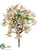 Oncidium Orchid Bush - Cream Green - Pack of 12