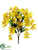 Oncidium Orchid Bush - Yellow - Pack of 12