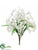 Oncidium Orchid Bush - White - Pack of 12