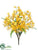 Oncidium Orchid Bush - Yellow - Pack of 12