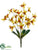 Cymbidium Orchid Bush - Yellow - Pack of 12