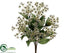 Silk Plants Direct Ornithogalum Bush - Cream - Pack of 12