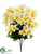 Orchid Bush - Yellow Cream - Pack of 12