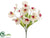 Phalaenopsis Orchid Bush - Beauty Cream - Pack of 24