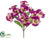 Phalaenopsis Orchid Bush - Purple - Pack of 24