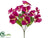 Phalaenopsis Orchid Bush - Violet - Pack of 24