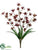 Cymbidium Orchid Bush - Orchid - Pack of 12
