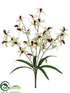 Silk Plants Direct Cymbidium Orchid Bush - Cream Burgundy - Pack of 12