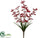Orchid Bush - Red - Pack of 12