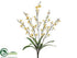 Silk Plants Direct Mini Phalaenopsis Orchid Bush - Cream Yellow - Pack of 12
