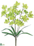 Silk Plants Direct Dendrobium Orchid Bush - Lime - Pack of 12