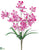 Dendrobium Orchid Bush - Orchid - Pack of 12