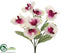 Silk Plants Direct Phalaenopsis Orchid Bush - Cream Wine - Pack of 24