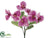 Phalaenopsis Orchid Bush - Lavender - Pack of 24