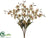 Oncidium Orchid Bush - Green Cream - Pack of 12