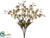 Oncidium Orchid Bush - Burgundy Cream Green Cream - Pack of 12
